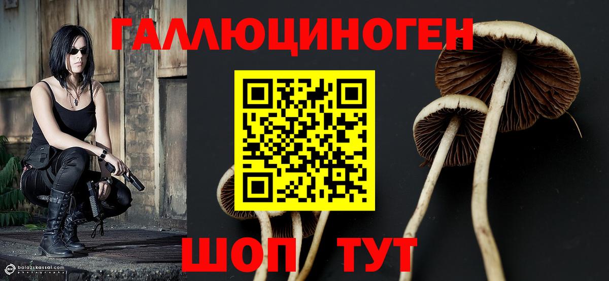 Галлюциногенные грибы прущие грибы Севастополь